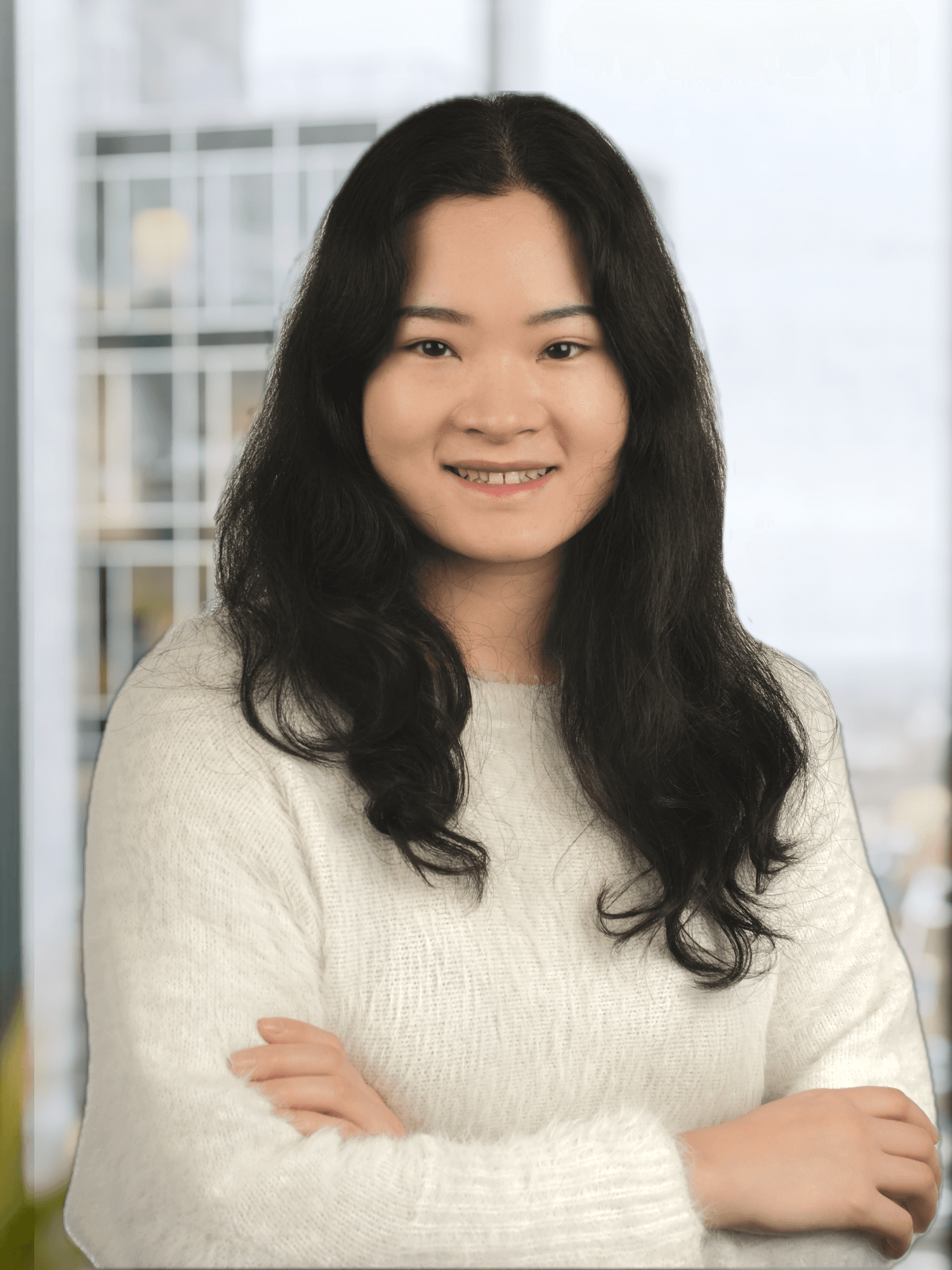 Dr. Ruoying Li